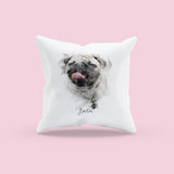 Custom Pet Cushion